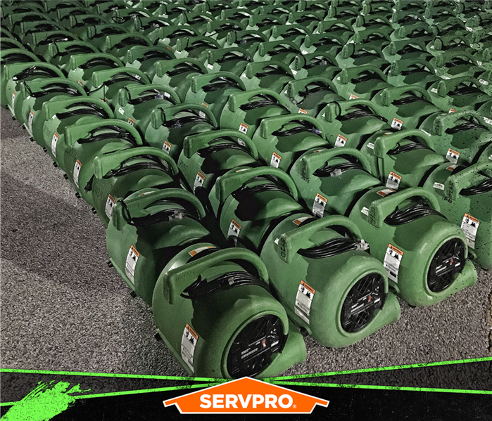 rows of air movers on a carpeted surface